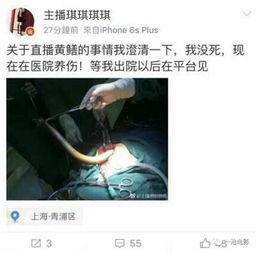 黄鳝女主播视频那里有,揭秘网络直播的道德边界